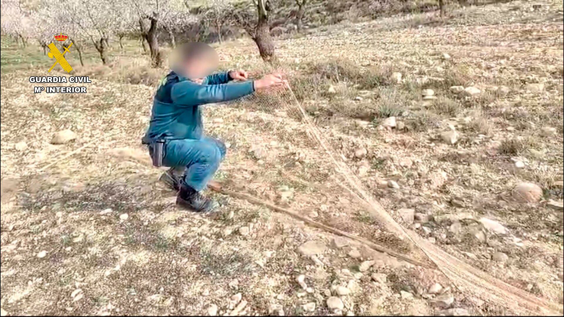 Investigado un hombre de 31 años en La Rioja por la captura ilegal de aves silvestres