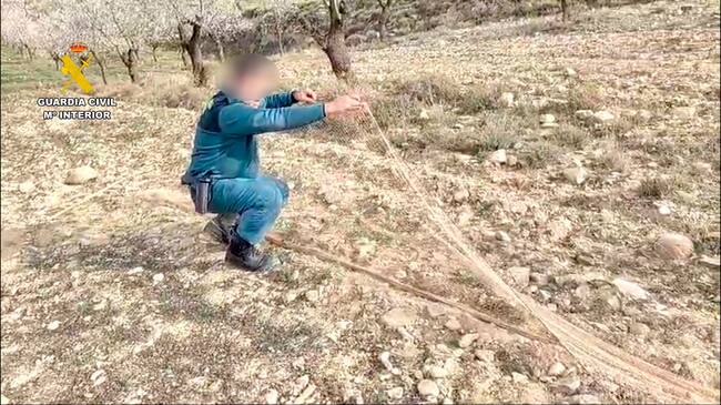 Investigado un hombre de 31 años en La Rioja por la captura ilegal de aves silvestres