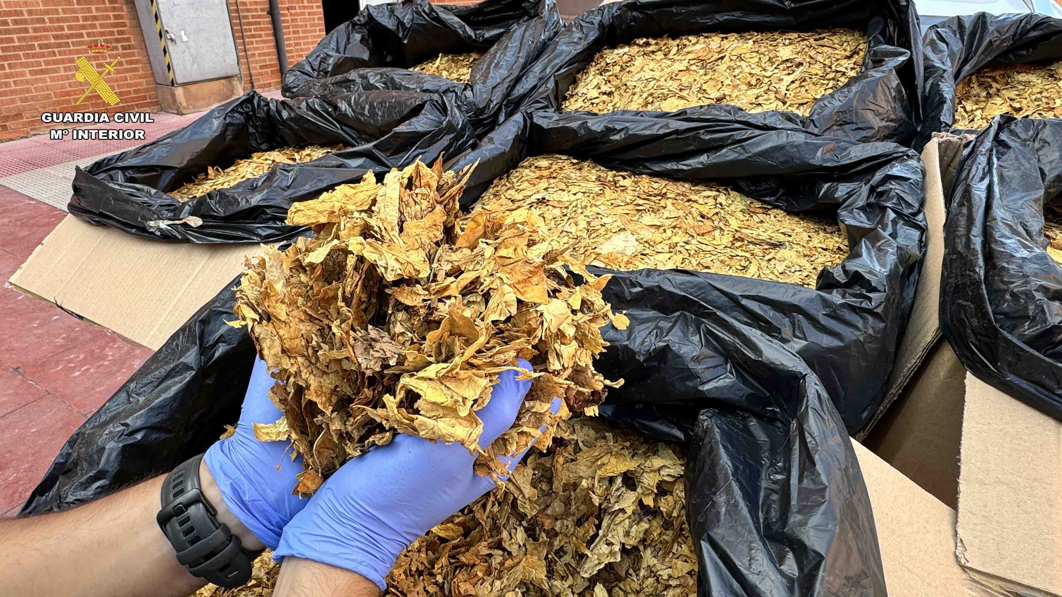 Incautados en Logroño 43 kilos de hojas de tabaco ilegal comprados por internet