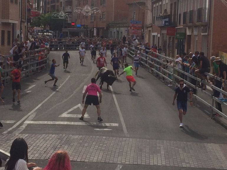 El novillo de la ganadería de Barcial, a su paso por la Calle Artillería