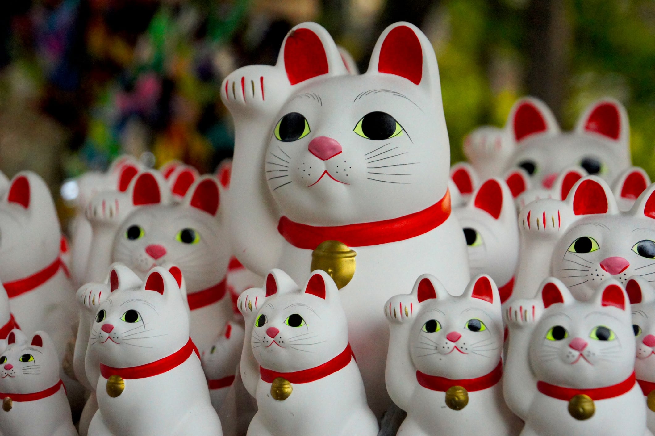 En Japón se dice que los &#039;manekineko&#039; proporcionan suerte y protección.