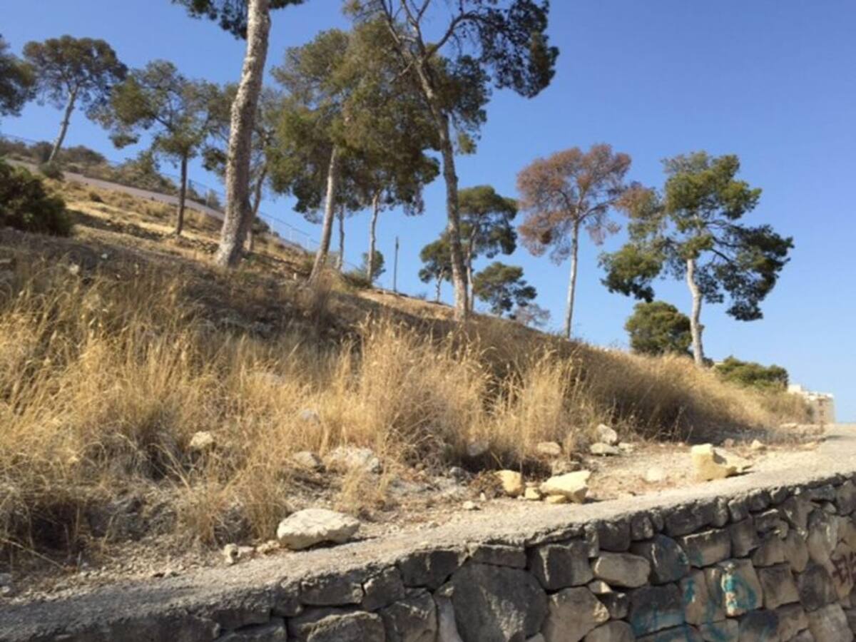 Un plan de voluntariado global