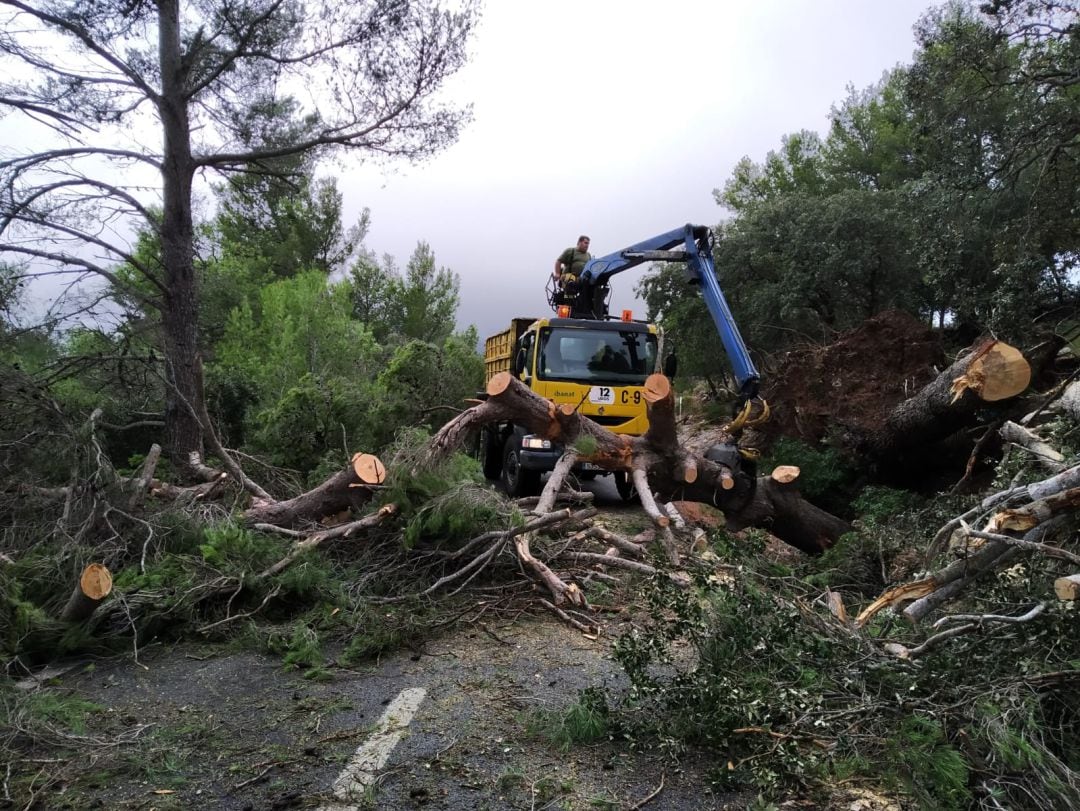 Operarios del Ibanat limpiando las carreteras afectadas en la Serra de Tramuntana.