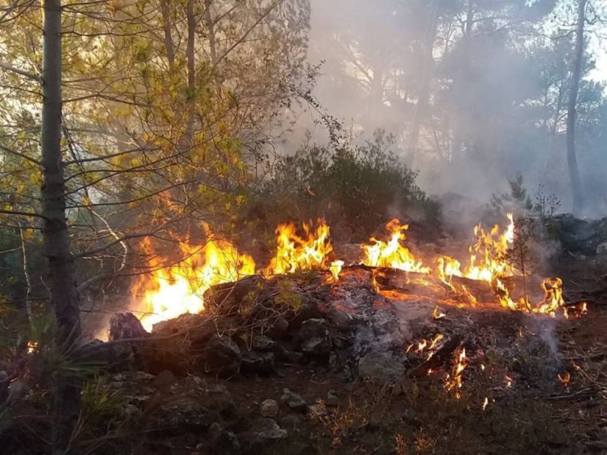 Tercer incendio en Esporles en una semana