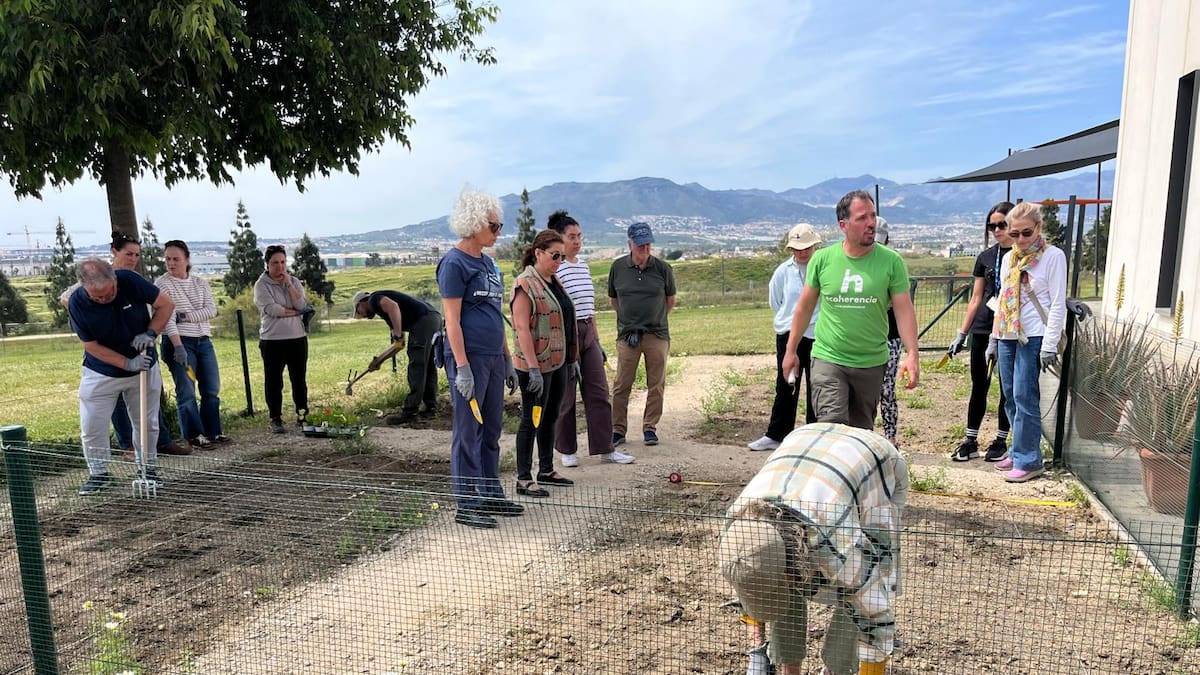 Las plantas como terapia ocupacional: Ciencias de la Salud propone huertos urbanos como espacio de bienestar