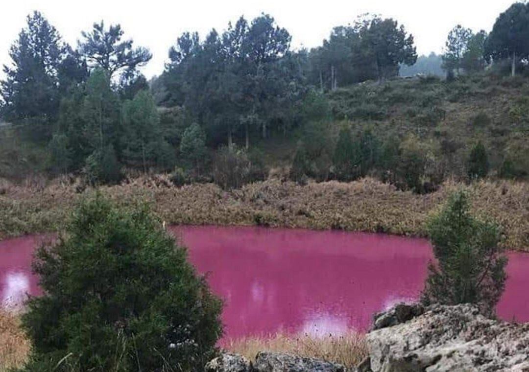 Laguna de las Tortugas