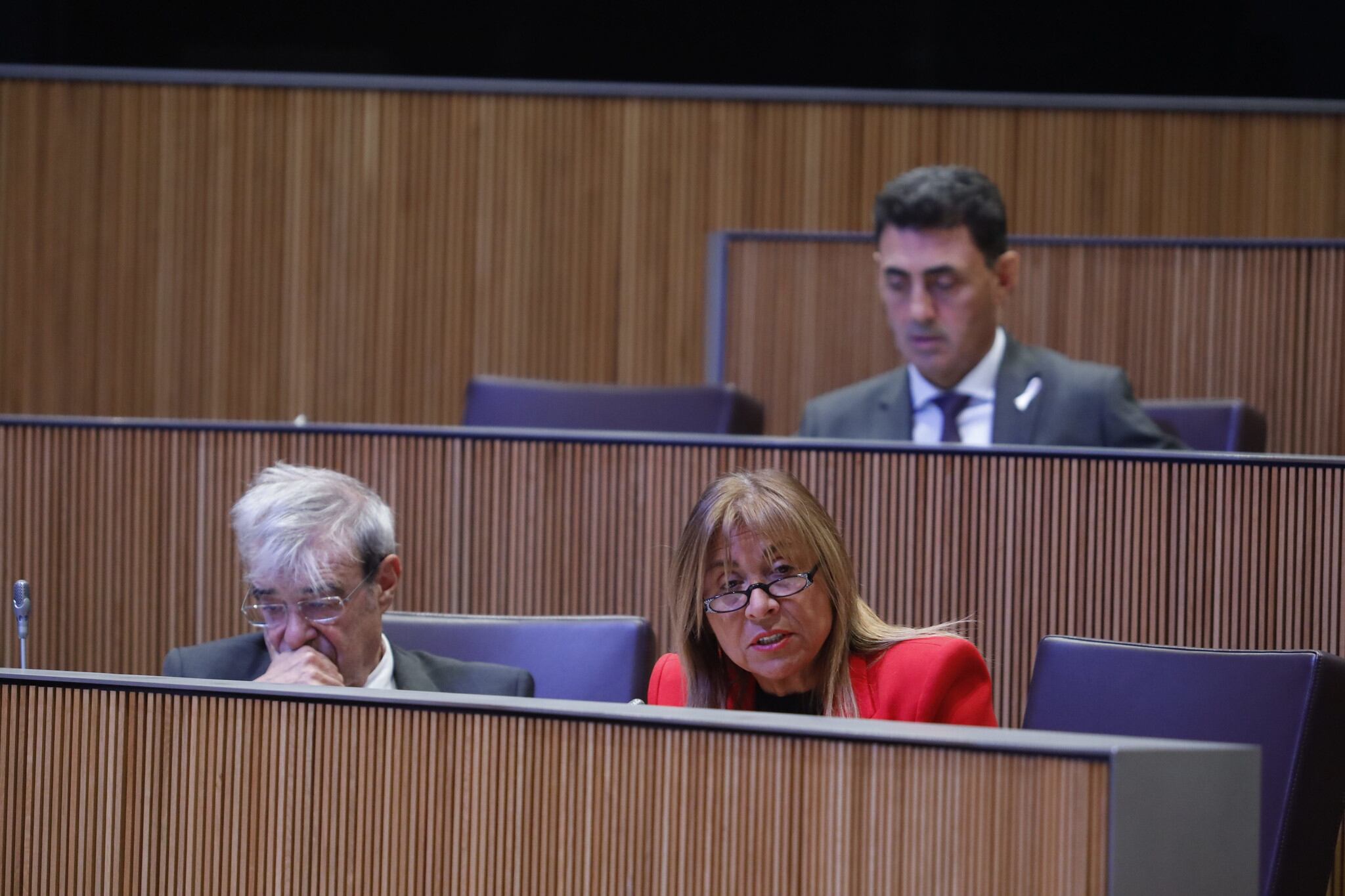 Marsol durant la seva intervenció en la sessió de Consell General d'avui.