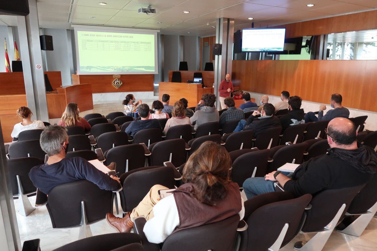 Imagen de la reunión de la consellera con el sector facilitada por el Govern balear