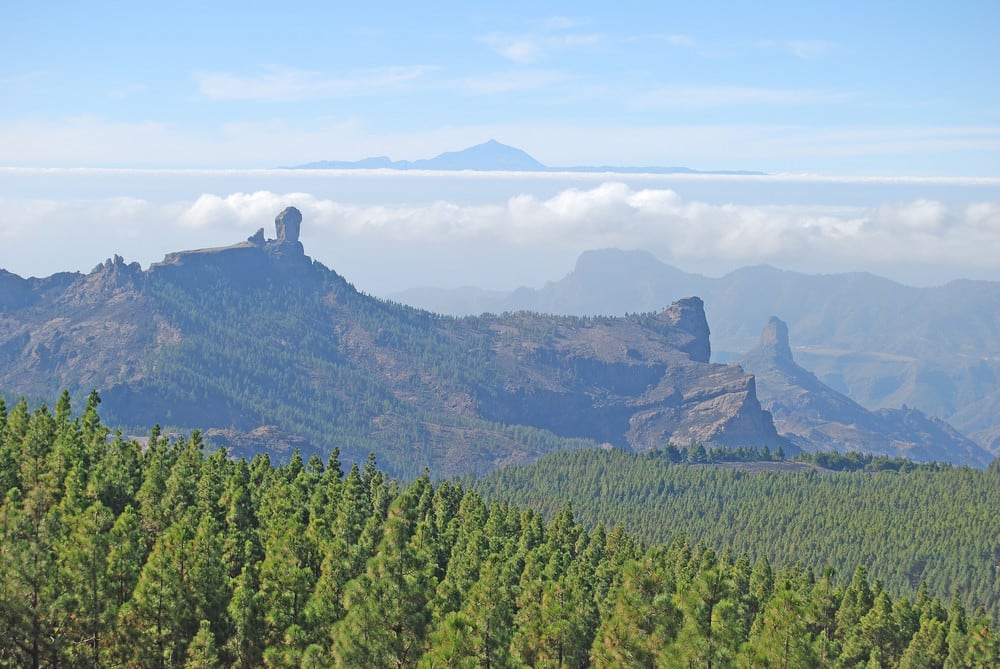 Cumbre de Gran Canaria en riesgo de incendio.