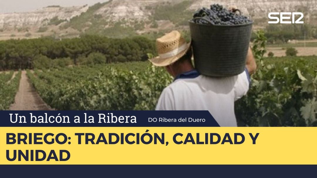 Bodegas Briego