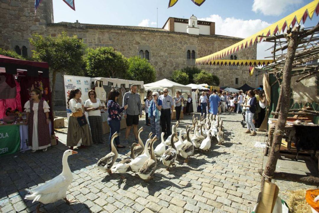 Desfile de ocas durante el Mercado Medieval en una edición pasada