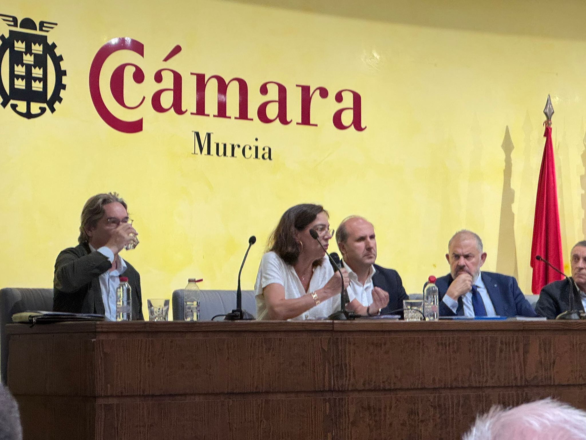 La abogada Isabel Caro Patón, que ha trabajado en la redacción del recurso que los regantes al plan del Tajo da detalles a la Junta General Ordinaria del organismo