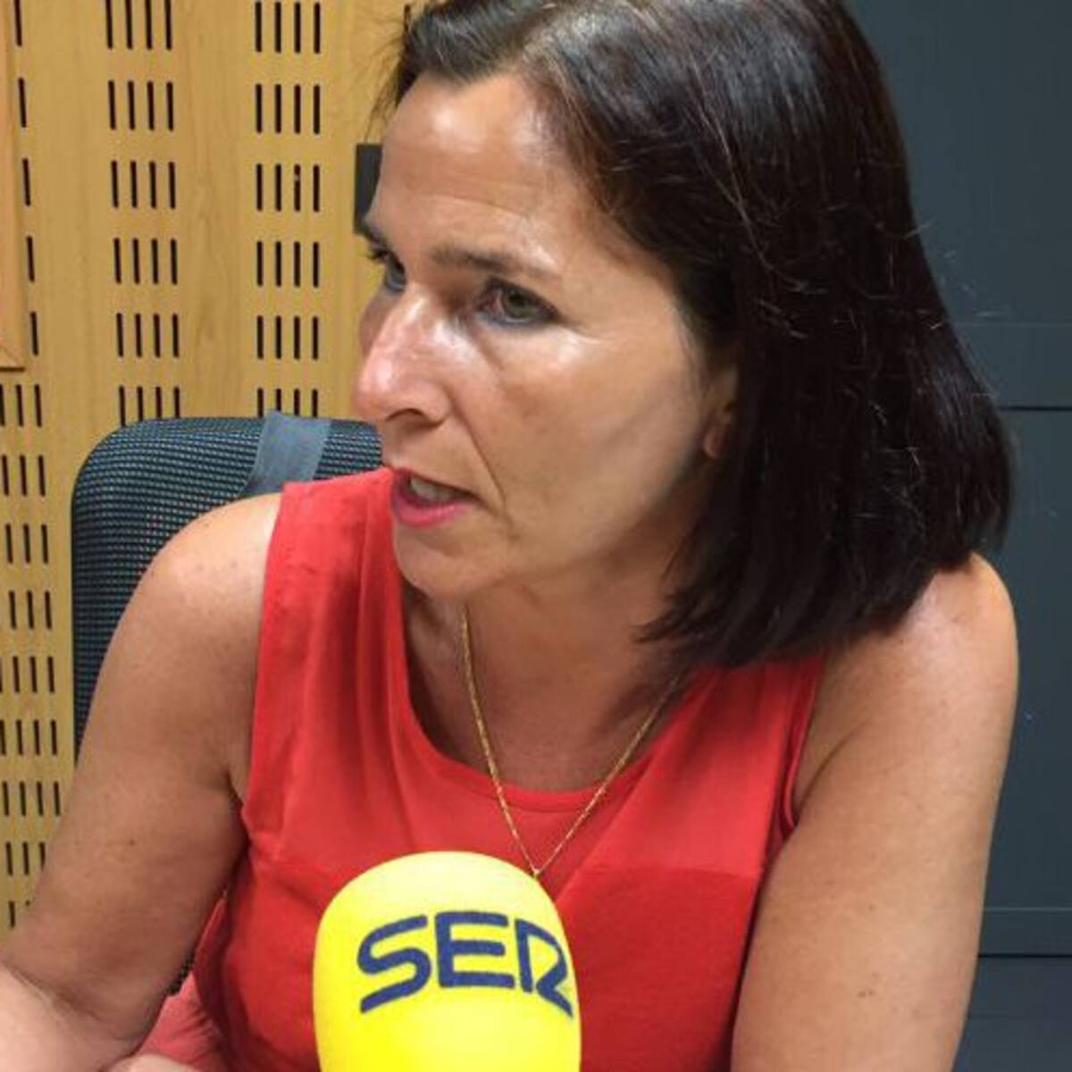 Martínez Seijo: "Ha habido castigo a quienes votamos no a Rajoy"