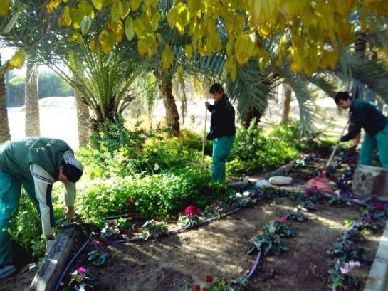 Jóvenes del Centro Especial de Empleo (PODA) trabajando en un jardín