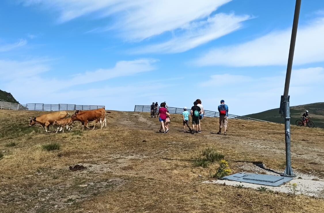 Una familia, de visita