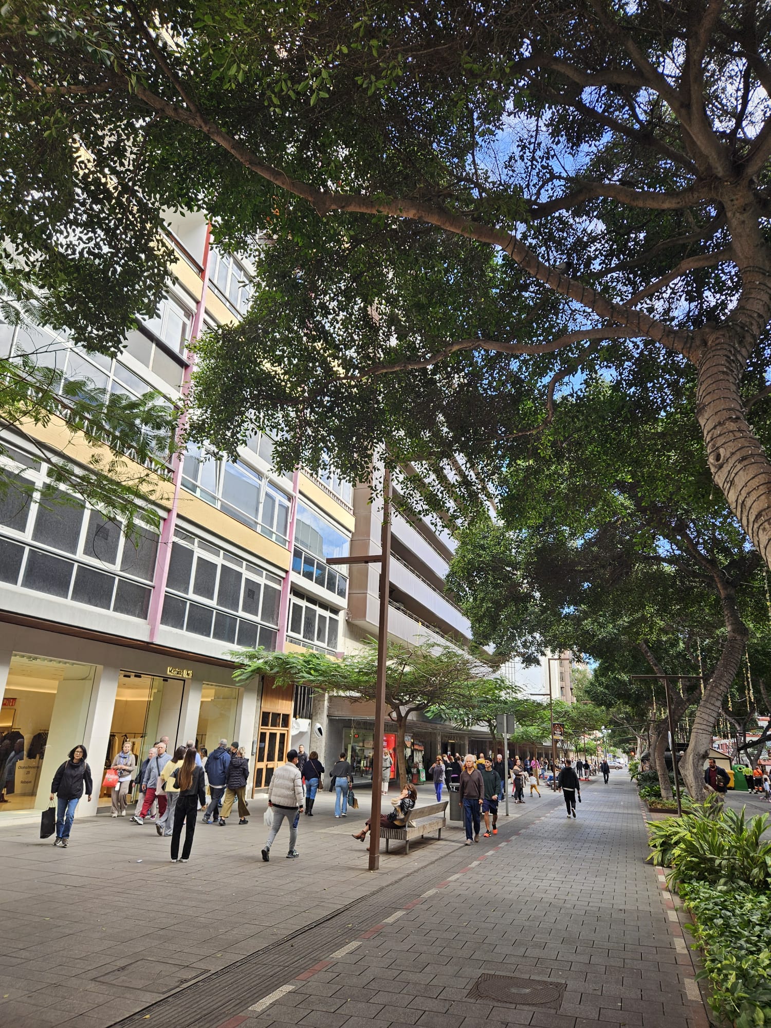 Gran afluencia en las zonas comerciales de Canarias en estas primeras horas de la campaña