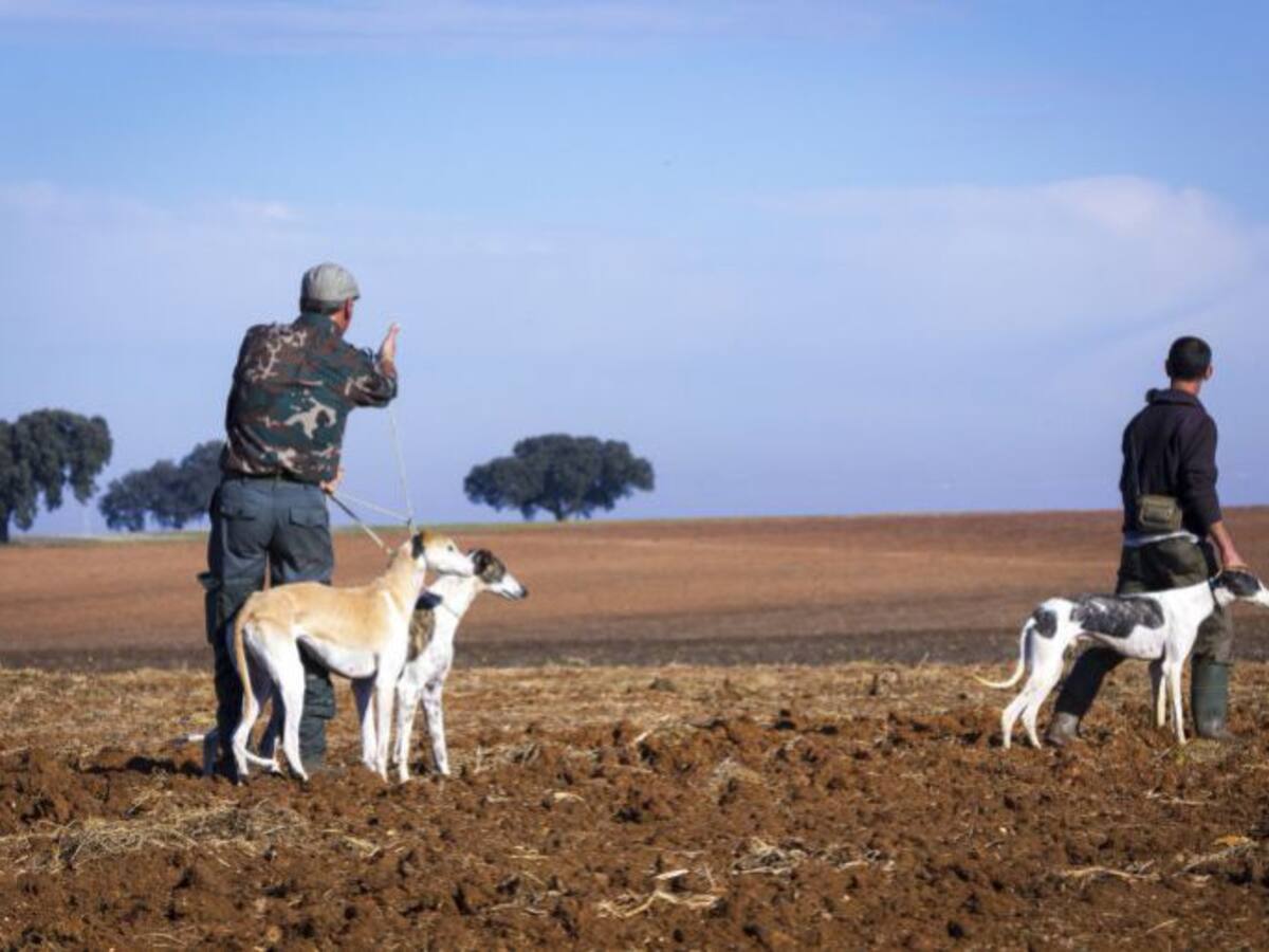 La temporada de caza echa el cierre