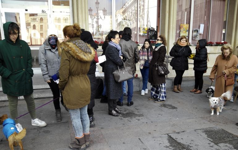 Manifestación contra el maltrato animal en la Plaza Mayor de Ciudad Real