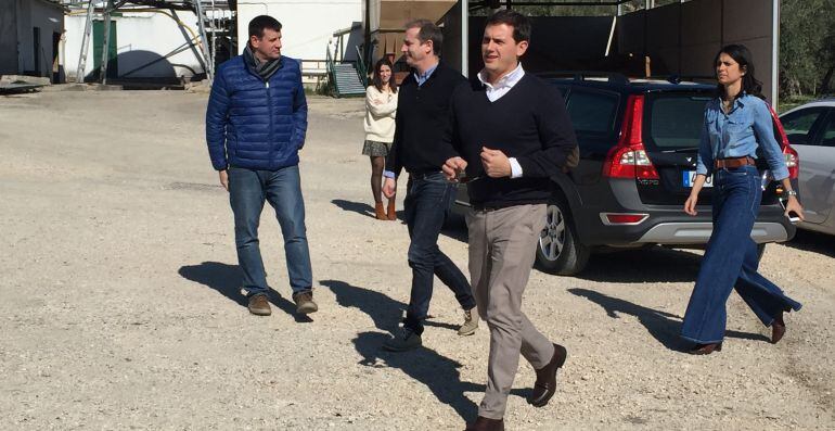 Albert Rivera a su llegada a la almazara de La Guardia de Jaén.