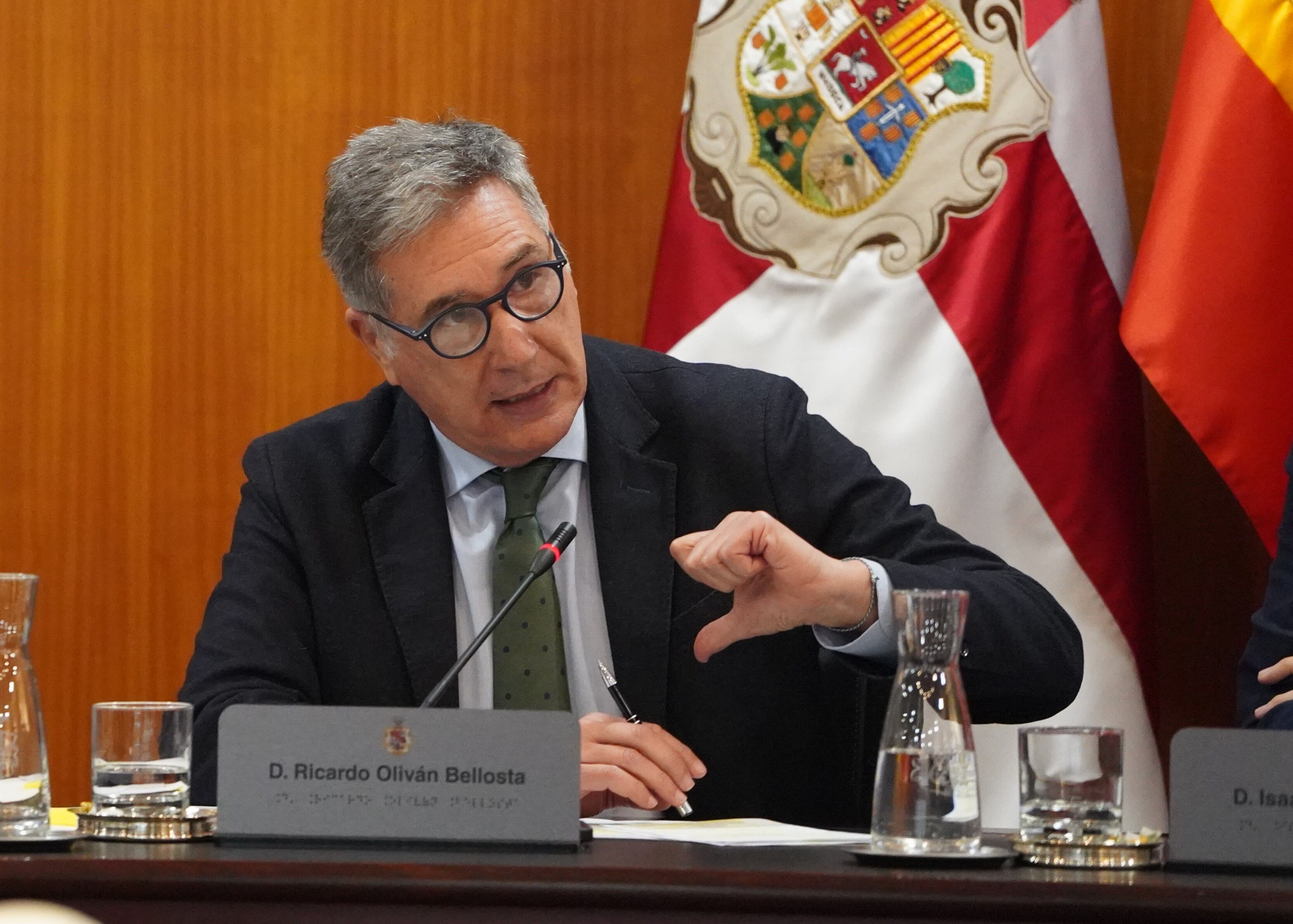 Ricardo Oliván, vicepresidente primero de la DPH