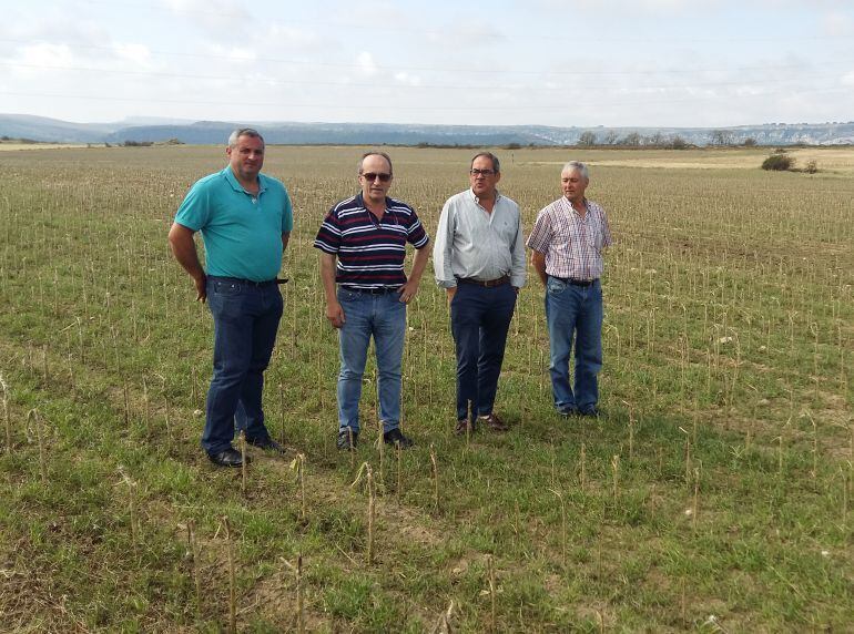 El Delegado de la Junta en Burgos, Baudilio Fernández (2ºdcha) visita los cultivos dañados junto a agricultores de la zona de Valdelucio