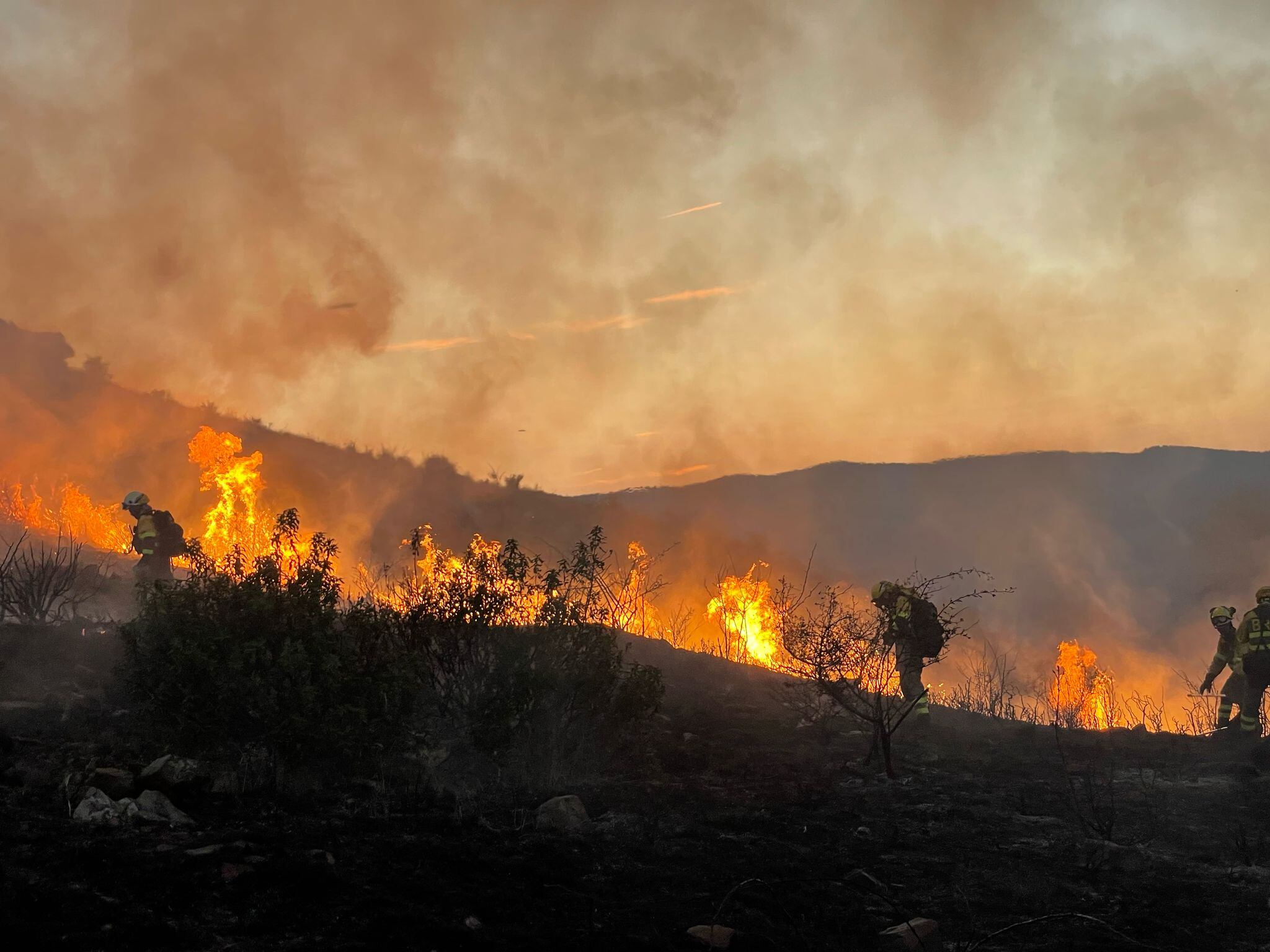 La brigada de BRIF DAROCA trabajando en el incendio forestal de Valdeperillo
