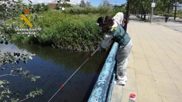 Una guardia civil recogiendo residuos de un río