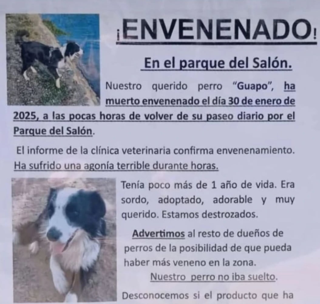 Denuncian la muerte de un perro por envenenamiento en Palencia