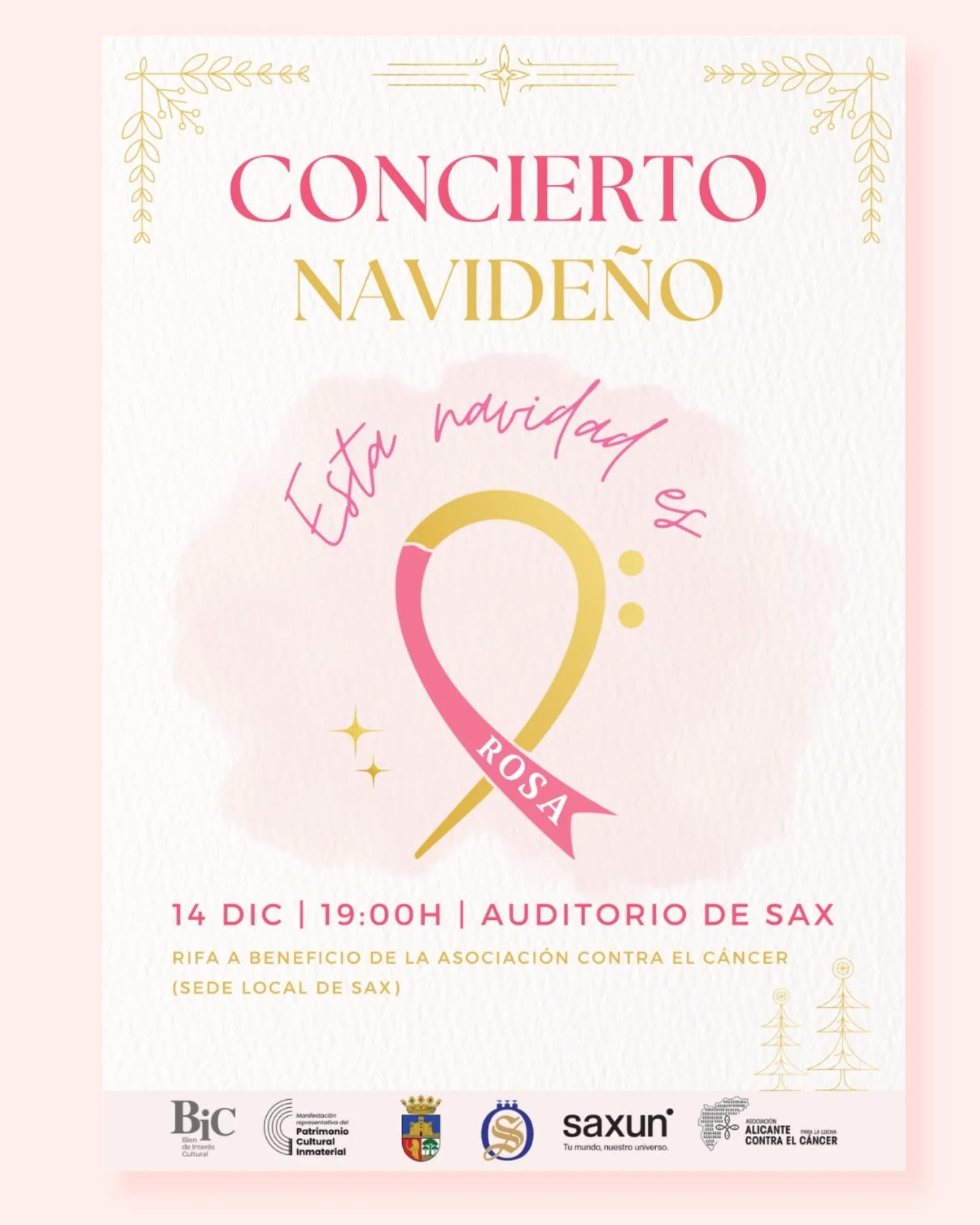 Cartel del concierto