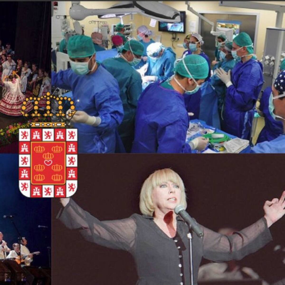 Mari Trini, Los Parrandboleros, la unidad de trasplantes de la Arrixaca y el grupo Virgen de la Vega reciben las distinciones y honores de la ciudad