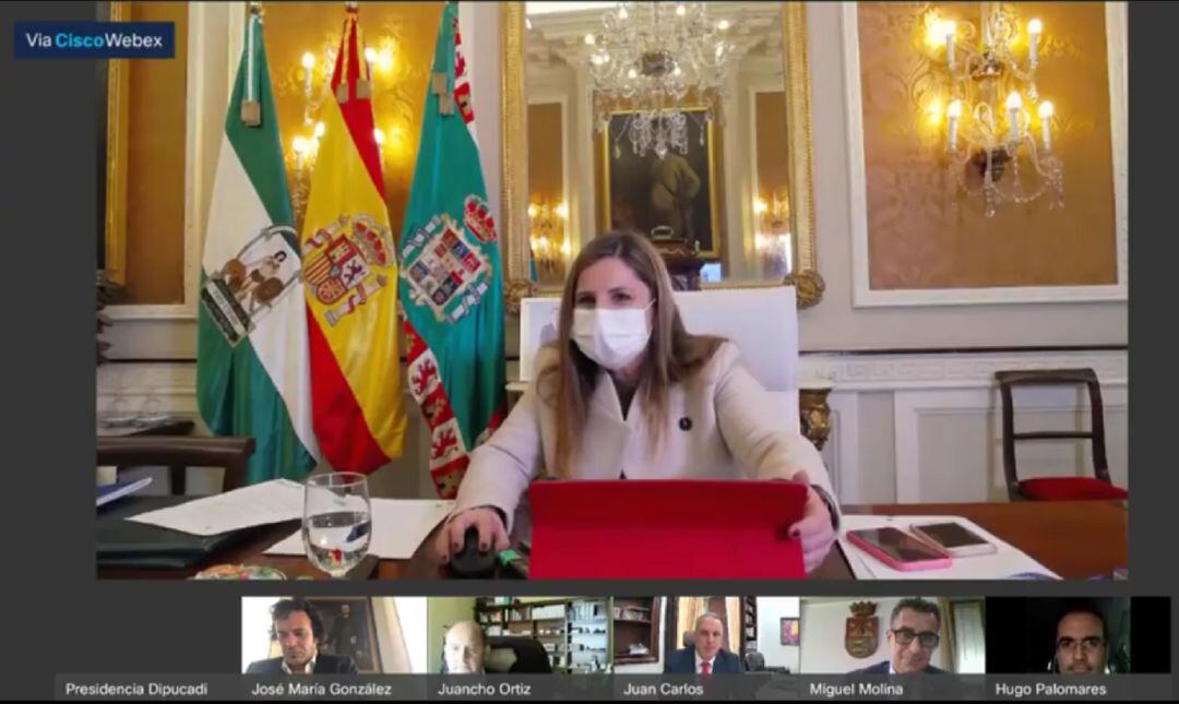 Imagen del pleno telemático de la Diputación de Cádiz