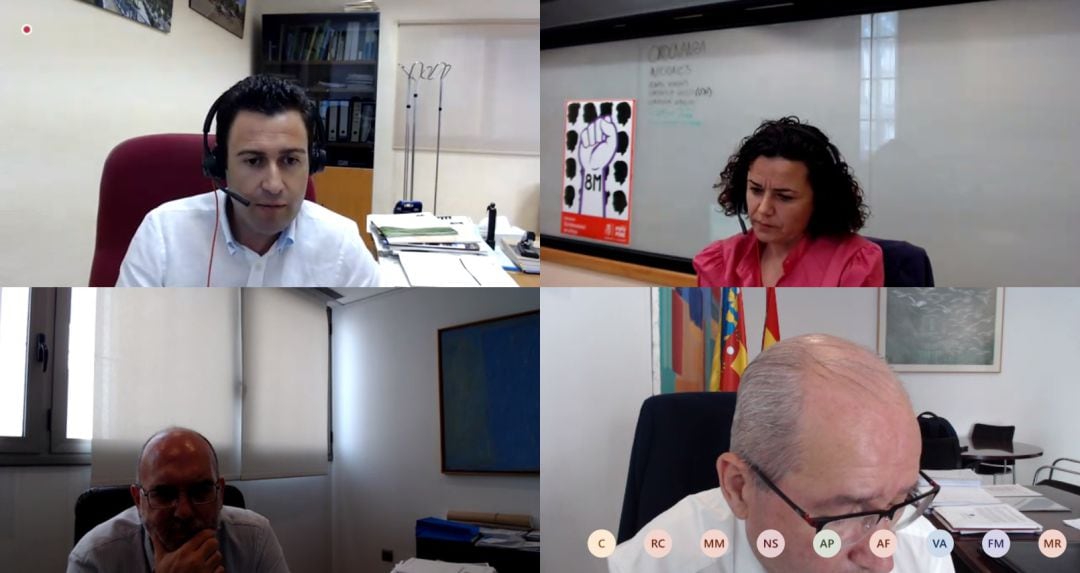 Pantallazo de la sesión telemática de la comisión