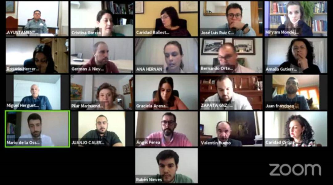 Uno de sus plenos virtuales (Archivo)