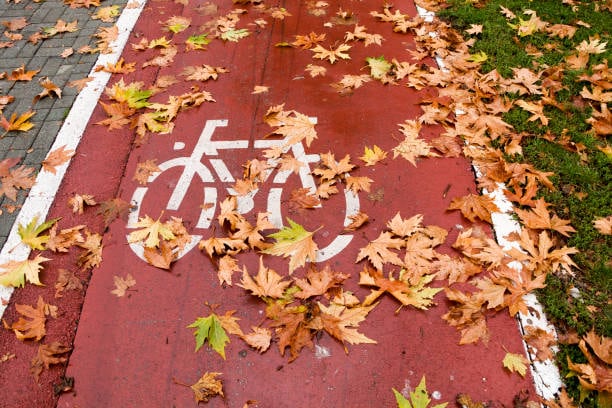 Carril bici, en otoño