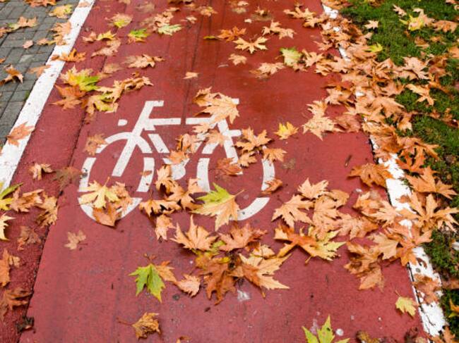 Carril bici, en otoño