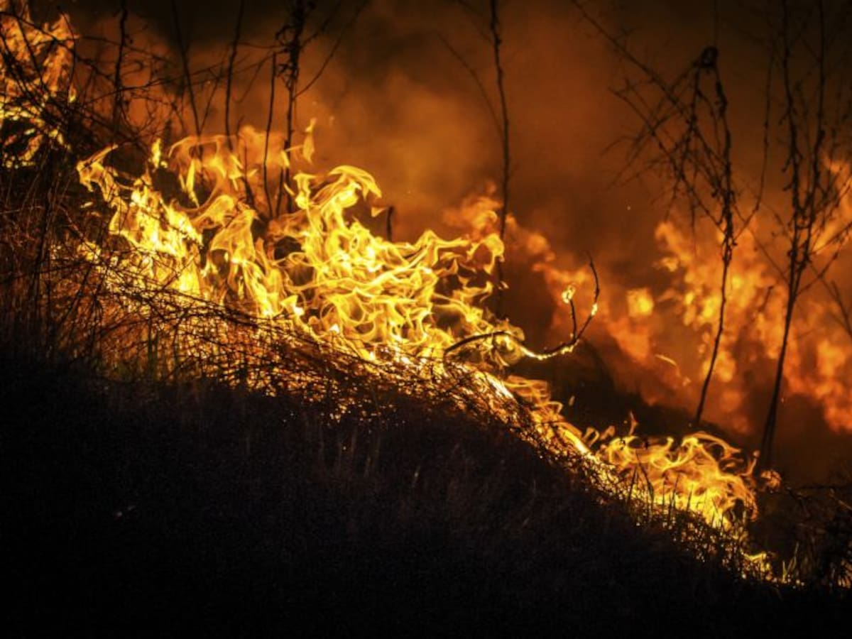 La Junta espera una campaña de incendios poco complicada