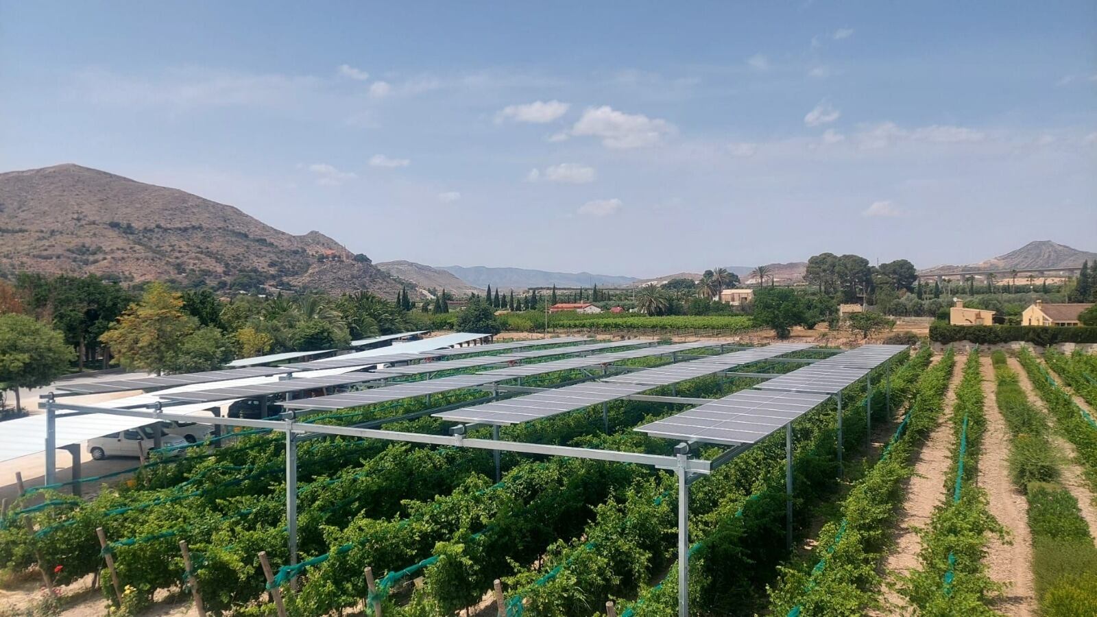 La jornada pondrá en valor las soluciones fotovoltaicas como herramienta para proteger los cultivos de uva frente al cambio climático