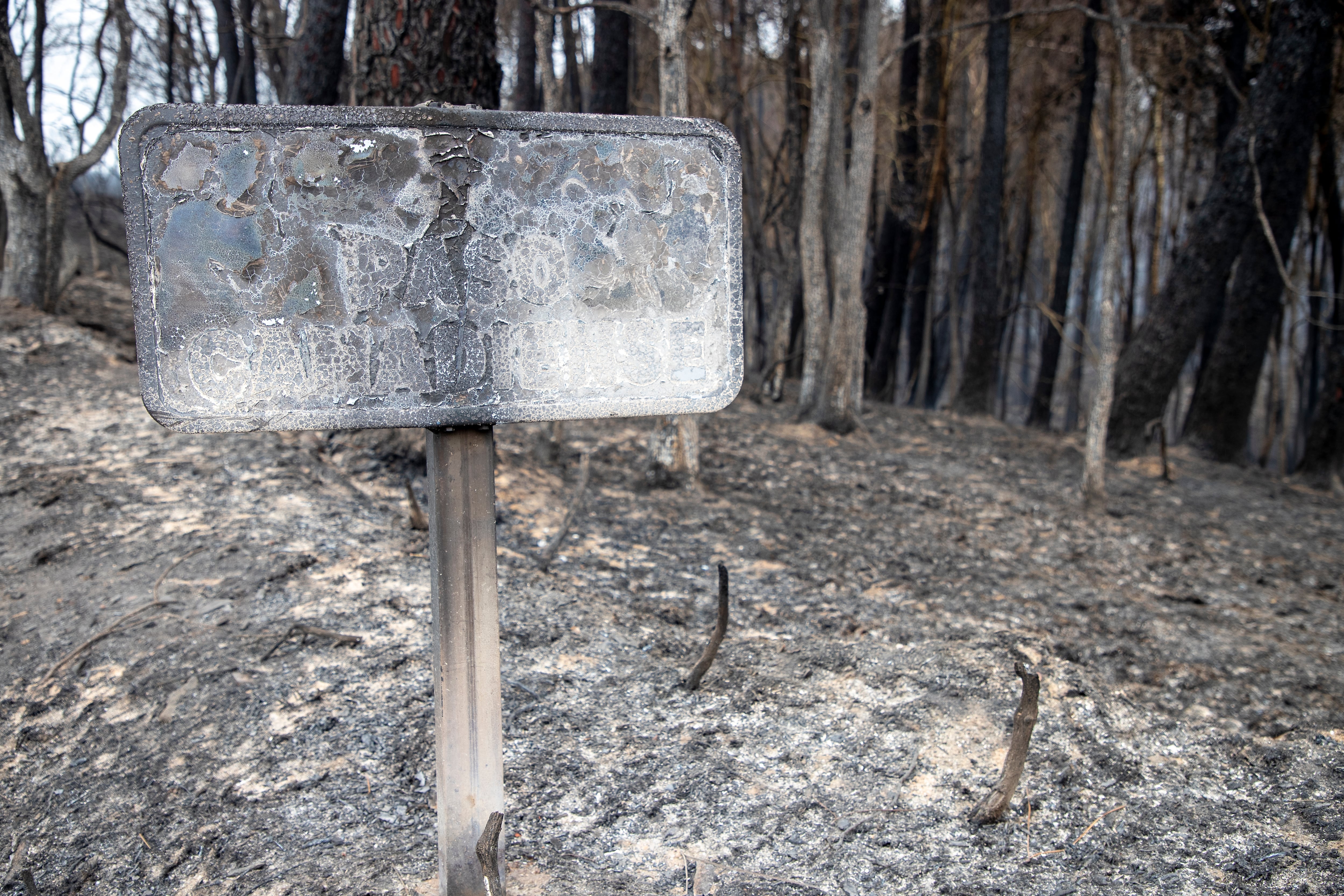 LUGO, 20/09/2025.- El avance de las llamas en el incendio que asola a los municipios lucenses de Pantón y Sober, originado en el primero de ellos, ha dejado sensaciones de &quot;desesperación e impotencia&quot; entre los vecinos, afectados por una orden de desalojo ante la voracidad del fuego. EFE/Eliseo Trigo

