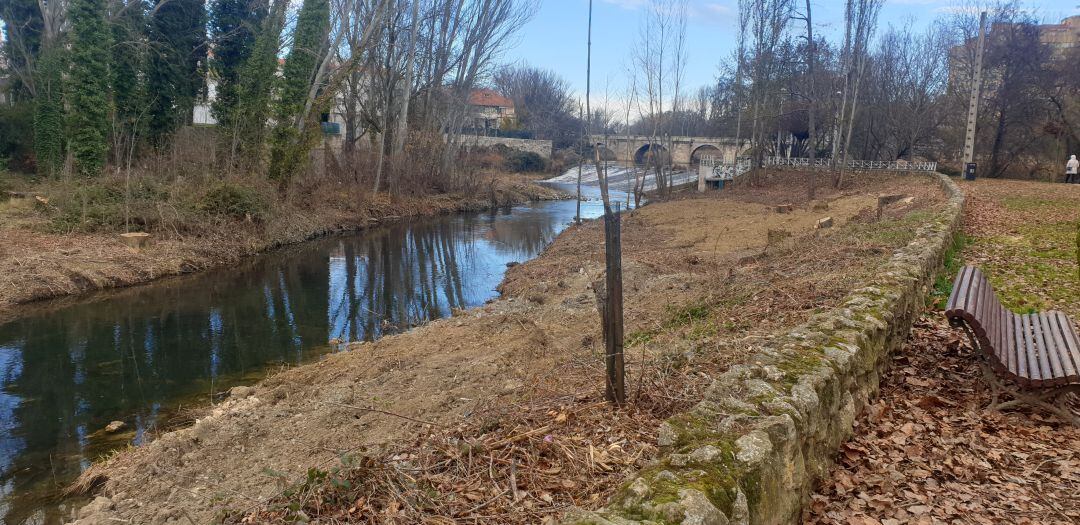 Estado en que quedó la ribera tras la tala