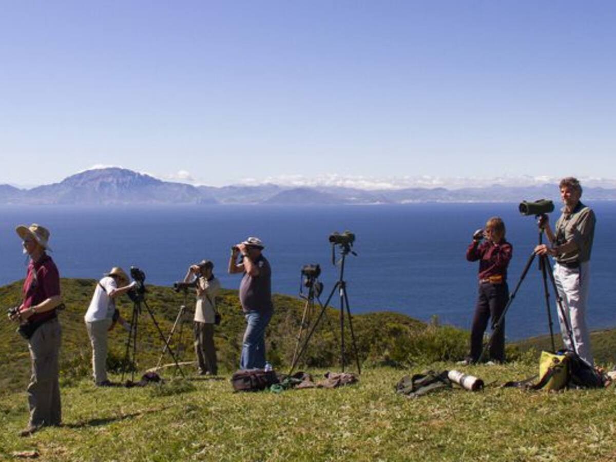 Reportaje Mig Bird Tarifa