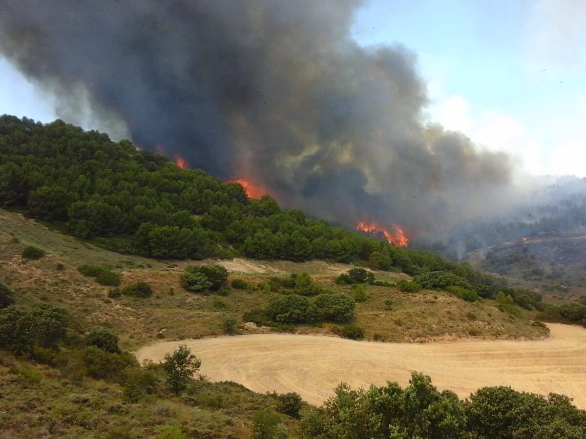 Incendios forestales declarados en las faldas del monte Yerga
