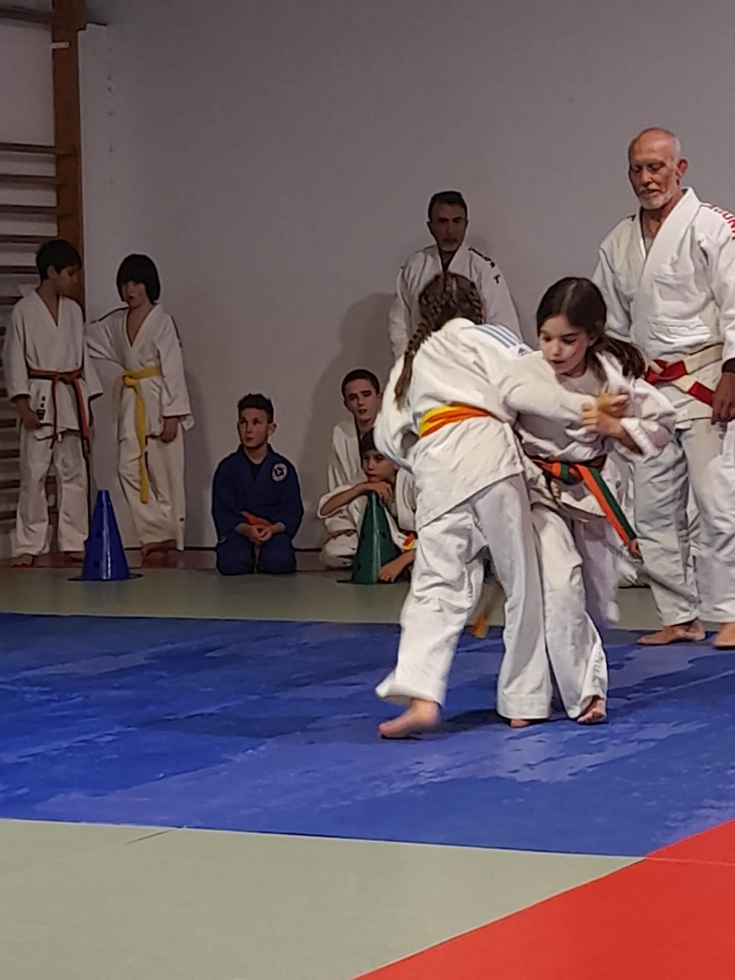 Judo CAMV