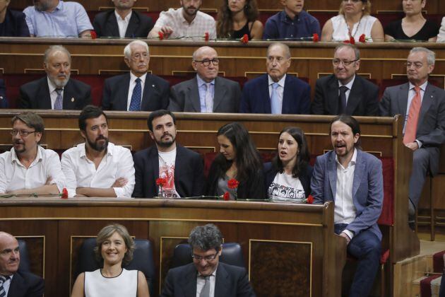 Unidos Podemos ha llevado claveles rojos al Congreso.