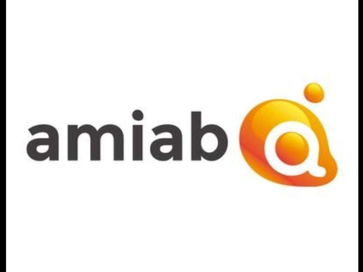 Memoria del cierre del ejercicio AMIAB en 2018