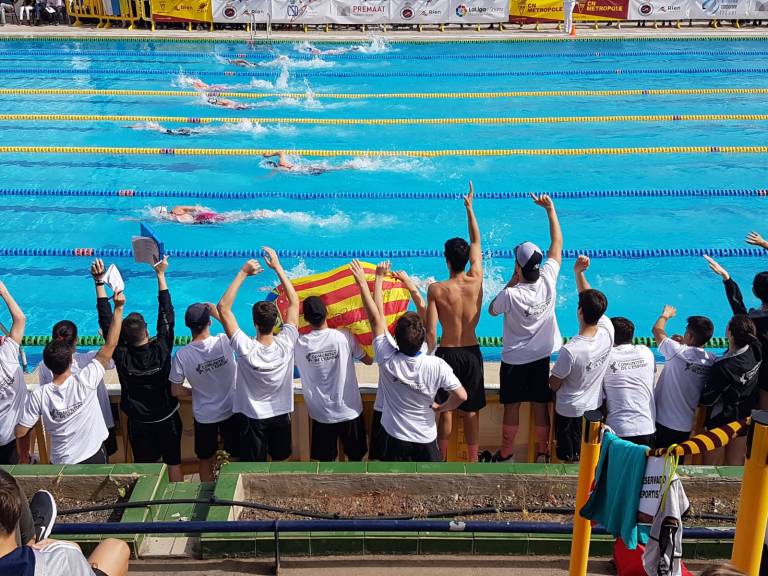Campeonato de natación