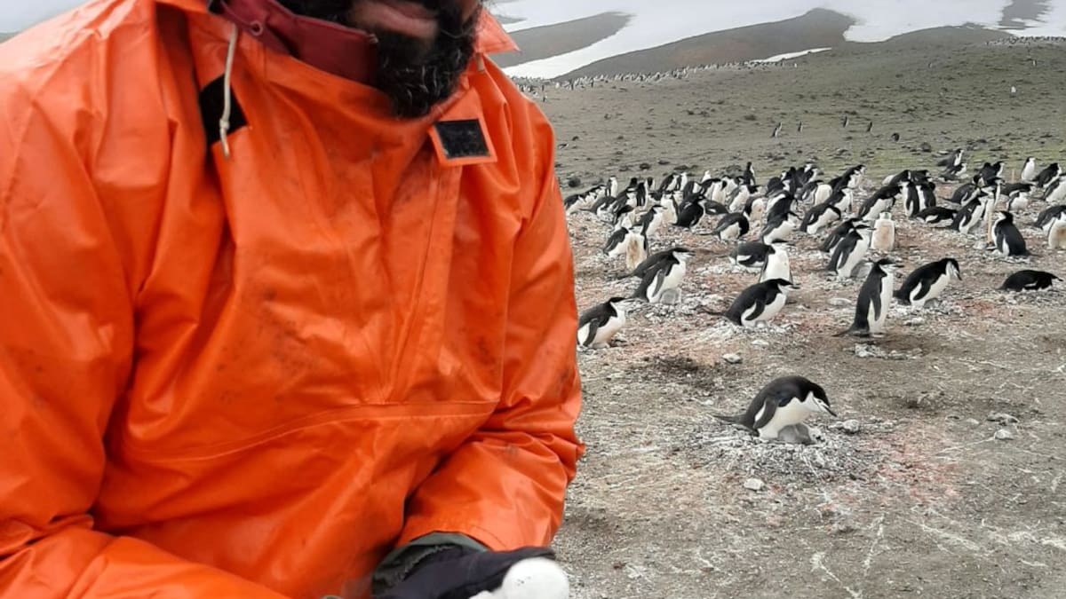 Entrevista a Miguel Motas, toxicólogo e investigador de la UMU en la Antártida