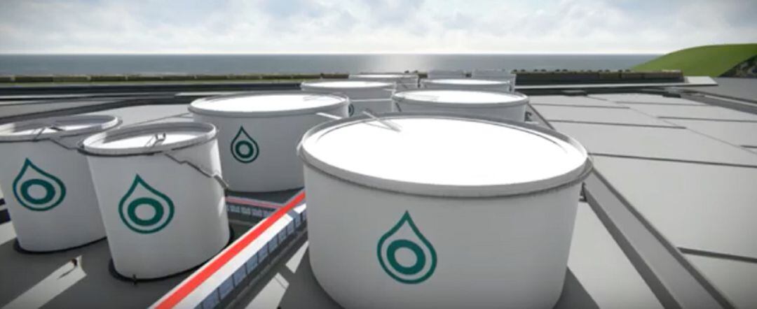 Imagen virtual de la terminal