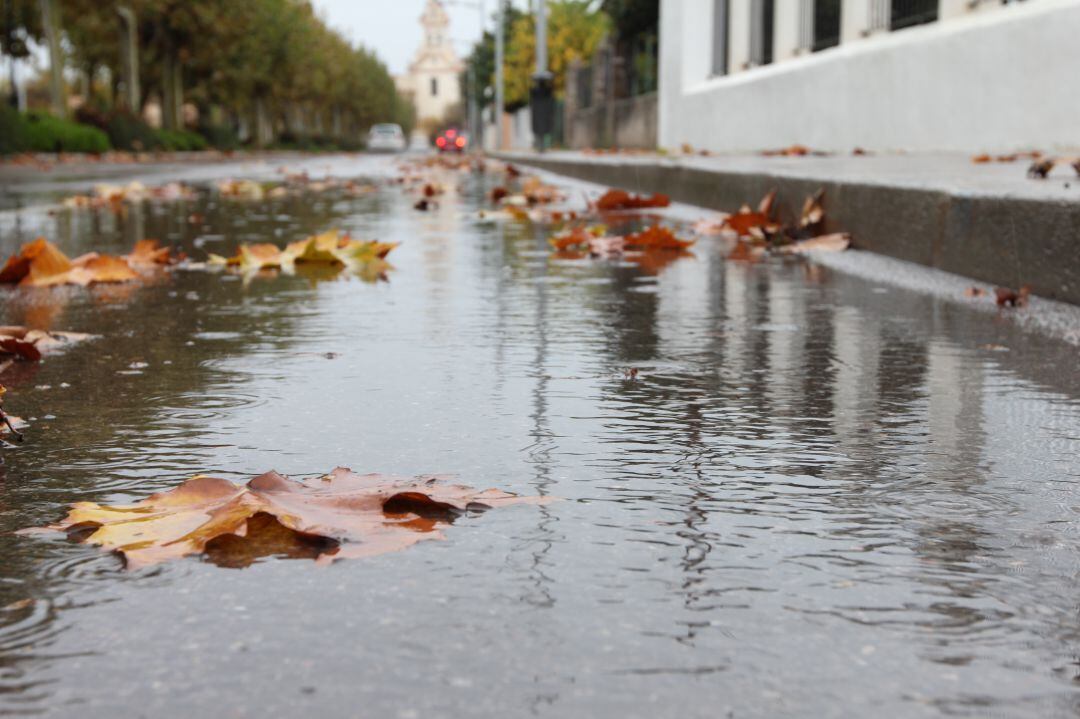 Según el Catedrático en Climatología, José Quereda, el año pasado se registró un 40% más de precipitaciones que un año normal