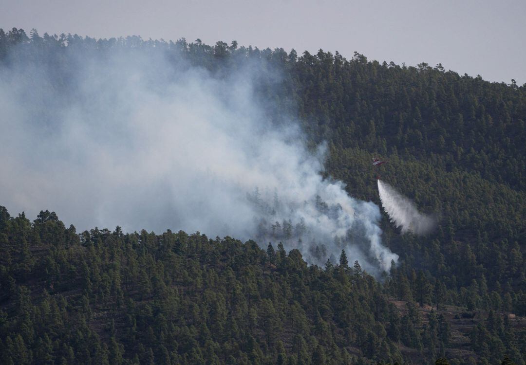 Incendio forestal en Arico 