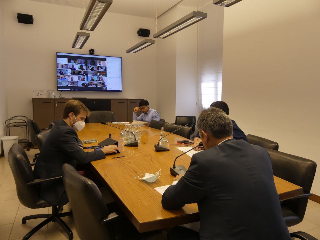 Ple telemàtic de la Diputació, aquest dijous